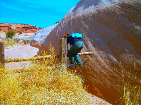 The fence we had to cross. 