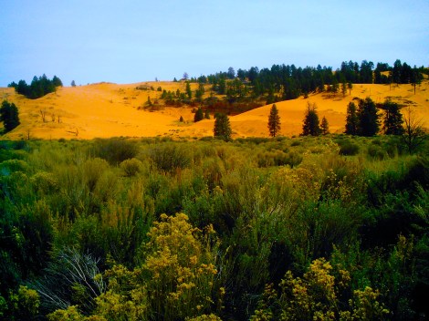 Sand dunes in the distance. 