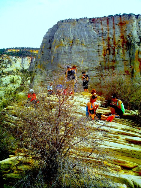Apparently their phones are cooler than the view. 