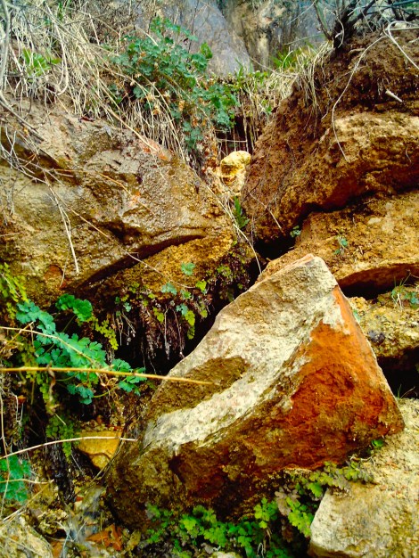 I was so surprised by the amount of green in a desert. 