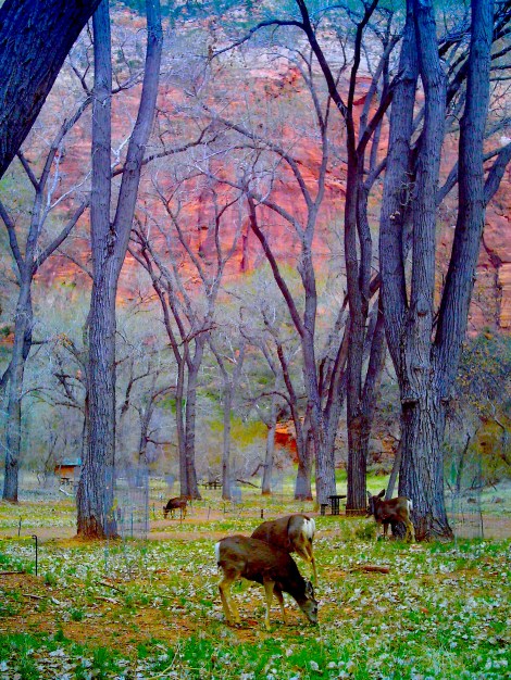 They were so out in the open. 