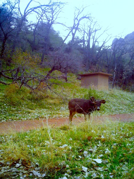 This little guy was so cute! 