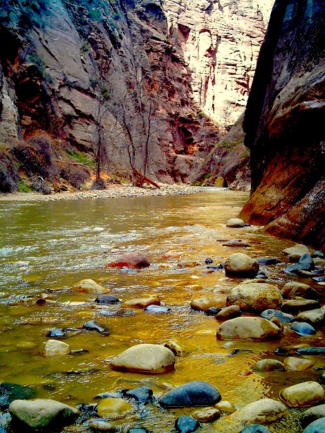 The water was cold when we went so we didn’t go in. 