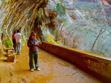 Weeping Rock overhanging the walkway. 
