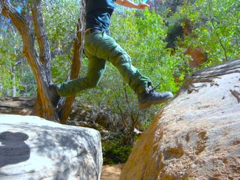 Jumping from rock to rock.