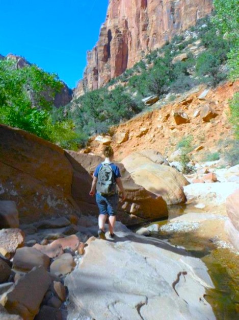 Big rocks divert the stream.