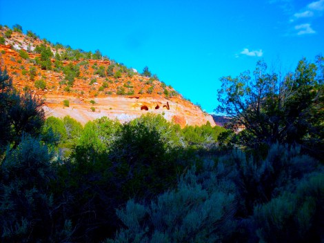The caves in the distance. 