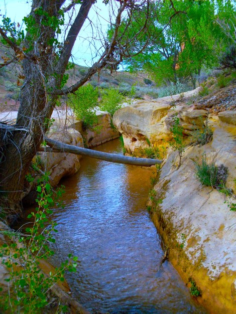 Kanab Creek