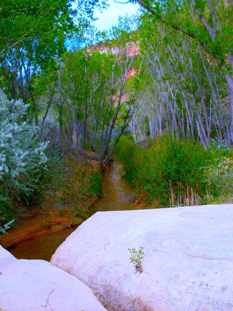 The beginning of the “almost slot canyon.” 