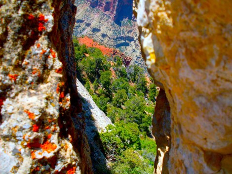 Looking down into the canyon from a crack between two rocks. 