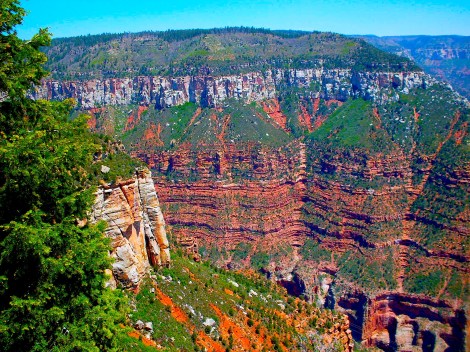 There were a lot more colors in the Grand Canyon than I expected. 