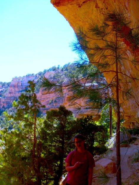 A tree? I’m not sure why this picture was taken. 