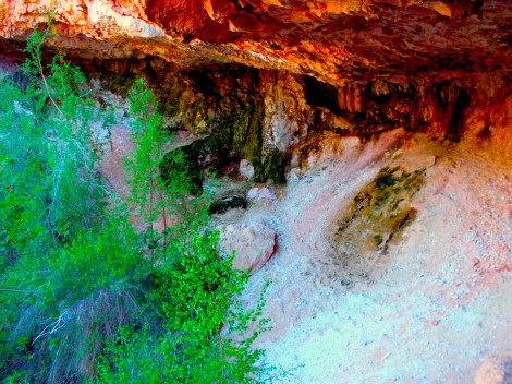 The “cave.” More like an overhang. It did have moss, though! 