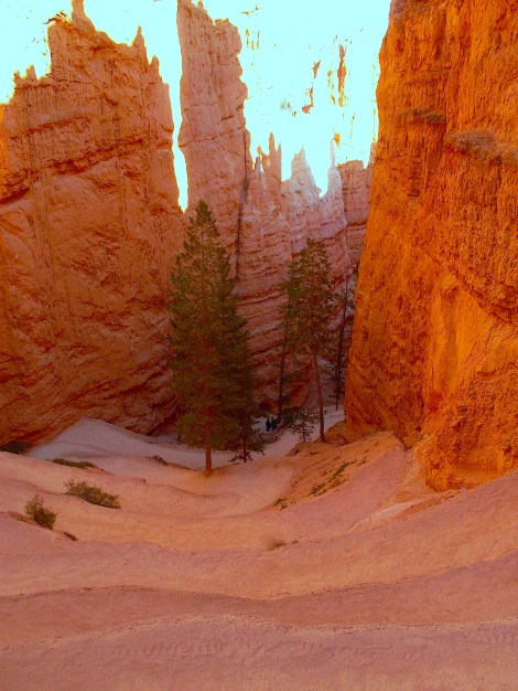 The end of the trail, looking down at the switchbacks.