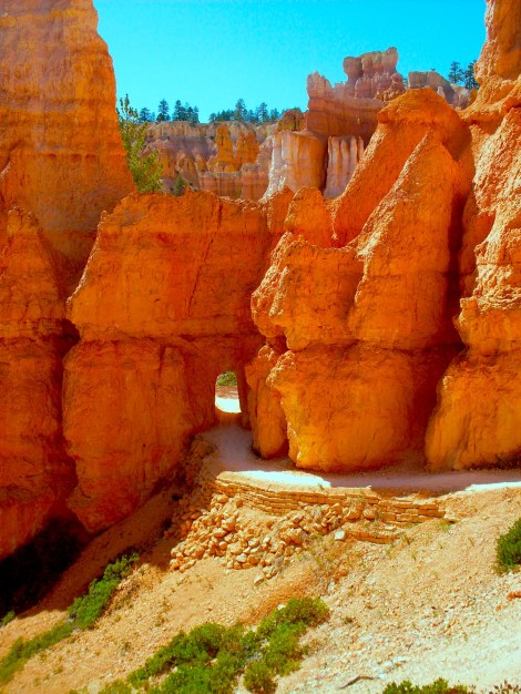 The trail went through some hoodoos.
