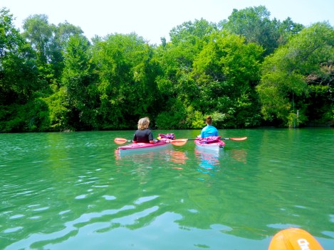 It was very Jurassic Park-y because you could hear lots of animal noises.