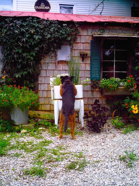 Getting a drink. Not the mayor. 