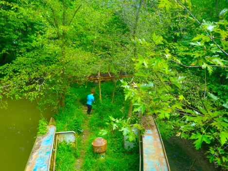 Noah’s Ark meets Garden of Eden. 