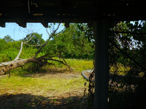 Another animal enclosure. 