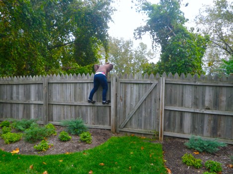 The back fence. There was junk behind it.